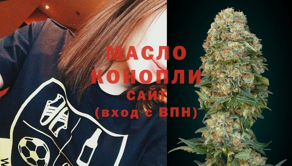 дмт Каменногорск