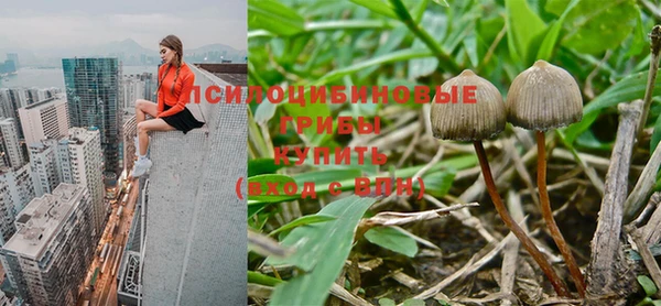 MDMA Premium VHQ Каменск-Шахтинский