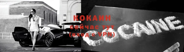 дмт Каменногорск