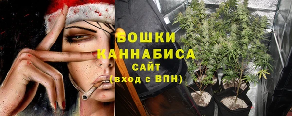 дмт Каменногорск