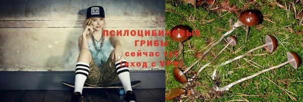 MDMA Premium VHQ Каменск-Шахтинский