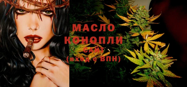 дмт Каменногорск